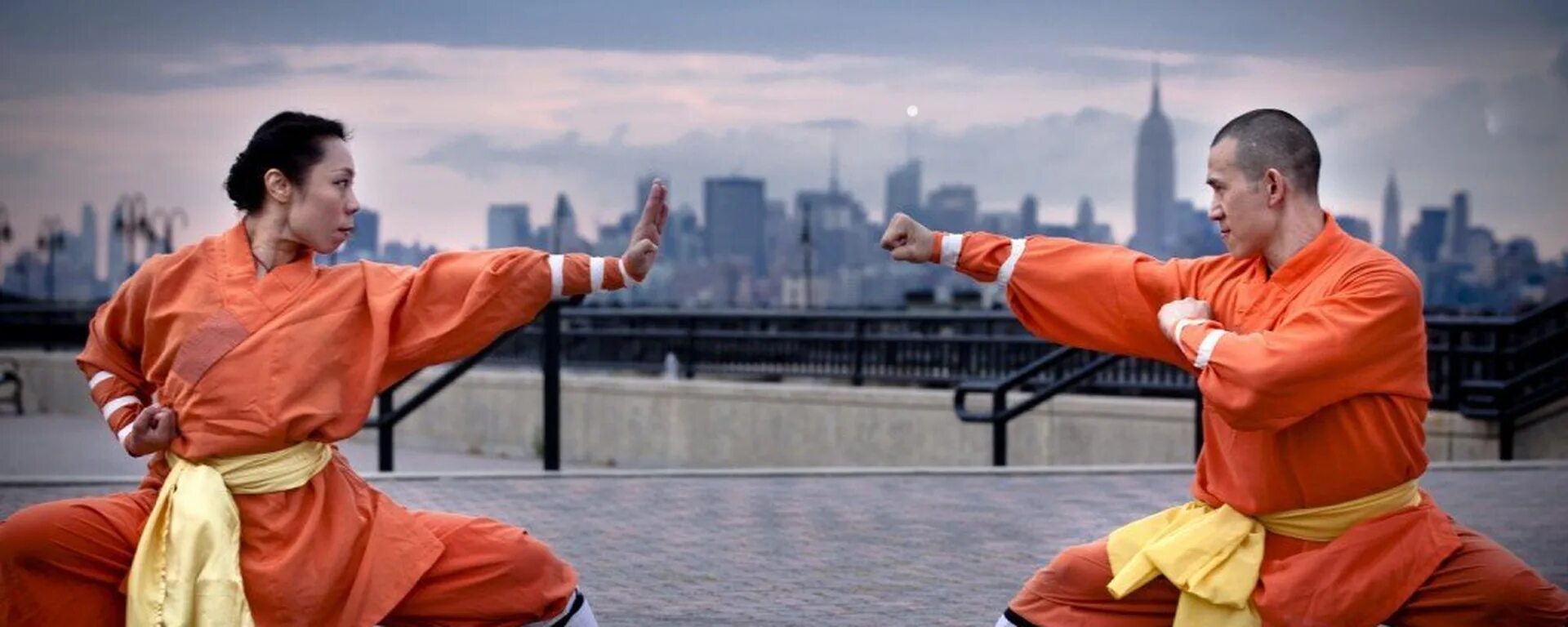 Моя девушка знает кунг фу. Моя девушка знает кунг фу. Оливия ченг кунг фу. Мастер кунг фу джеки чан. Нео матрица кунг фу.