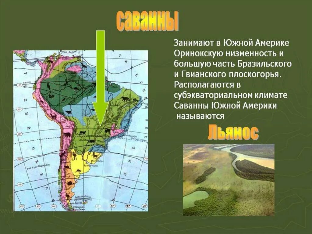 Карта природных зон Южной Америки 7 класс. Природные зоны Южной Америки 7 класс. Карта природных зон материка Южная Америка. Природные зоны материка Южная Америка. Разнообразие природы южной америки 7 класс