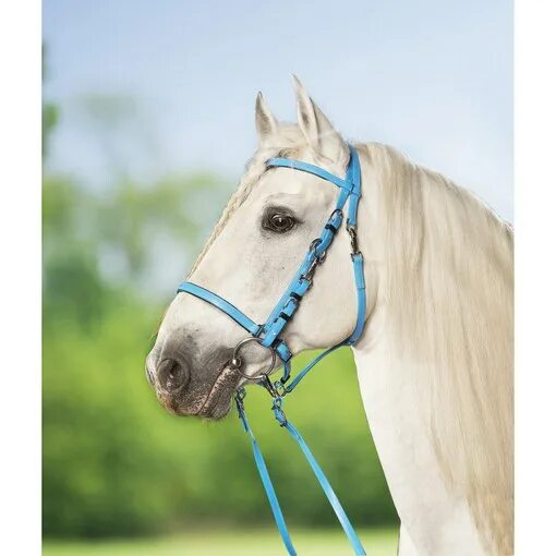 Как выглядит уздечка для лошади фото Horseware Rambo micklem multibridle с вожжи бесплатный подарок eBay