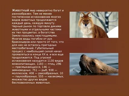 Зверь окончание