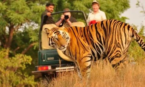 Rajaji National Park