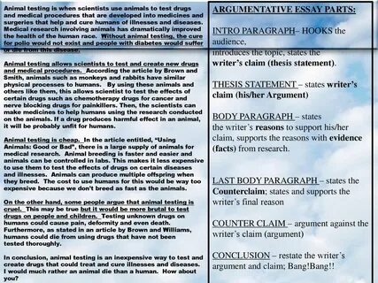 Animals essay