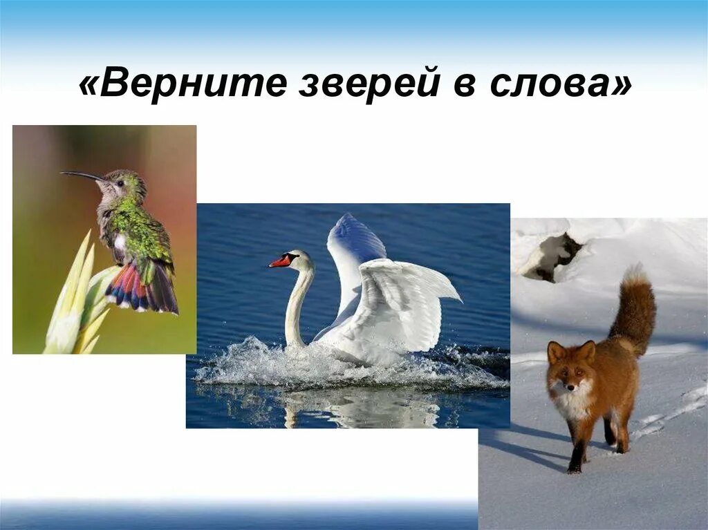 Череп как потомки восстановят животное животных мем. Восстановленные виды животных. Восстановленные виды животных из красной книги. Правила сохранения легких. Верни животных.