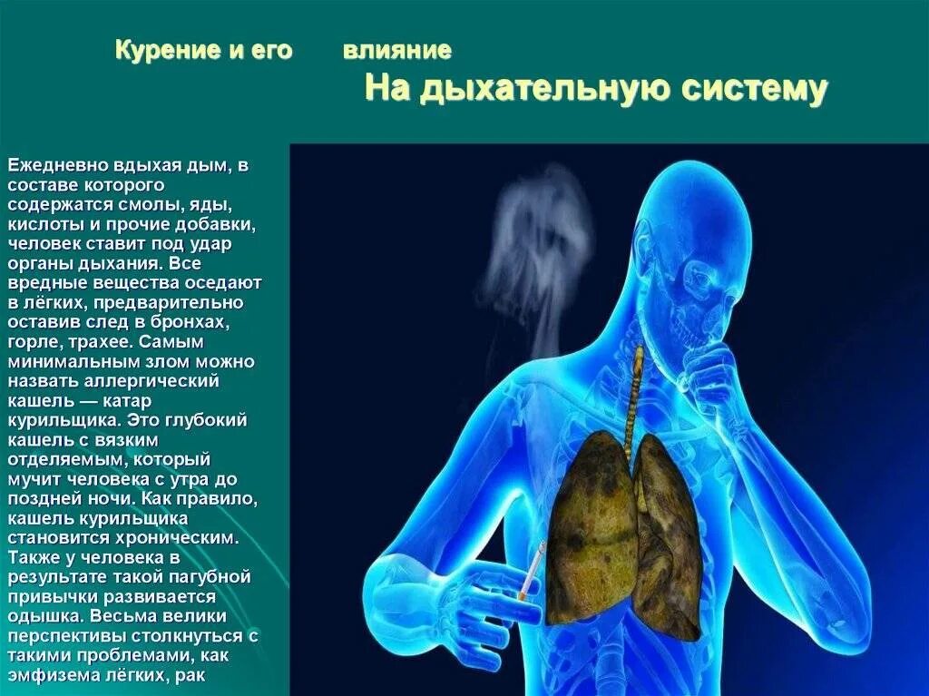 Как курение табака влияет на дыхательную систему. Влияние табакокурения на органы дыхания. влияние сигарет на дыхательную систему. воздействие курения на дыхательную систему. влияние табачного дыма на дыхательную систему.