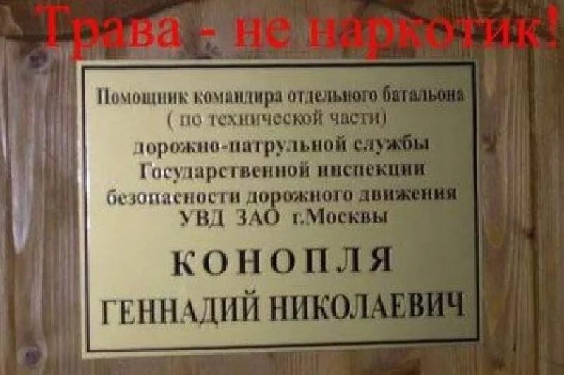 Имена ассистентов. Смешные фамилии. Самые смешные фамилии. Смешные фамилии прикол. Самые смешные имена и фамилии.