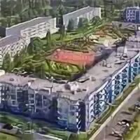 Щегловые