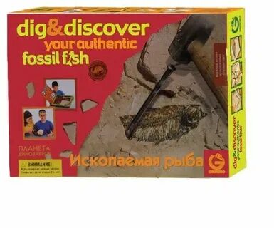Dig discover