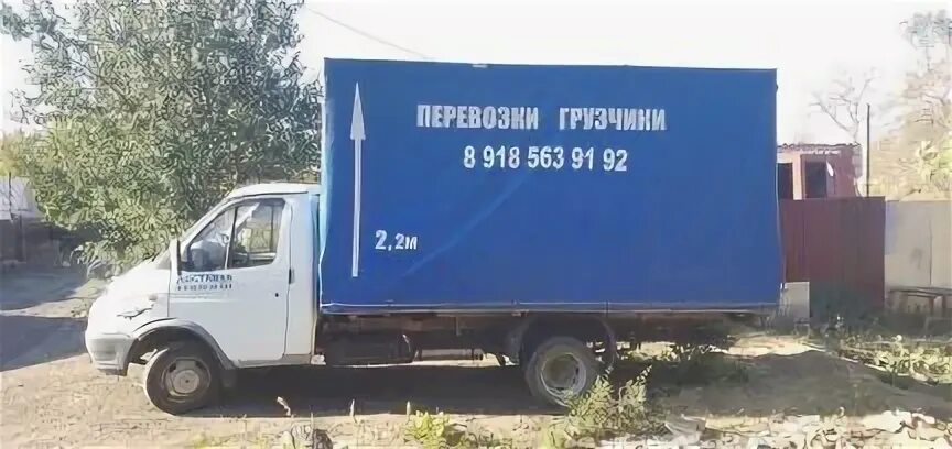 Муравей шахты номер телефона. Муравей грузчик. Муравей шахты номер телефона. Муравей шахты номер телефона. Муравей перевозки печора.