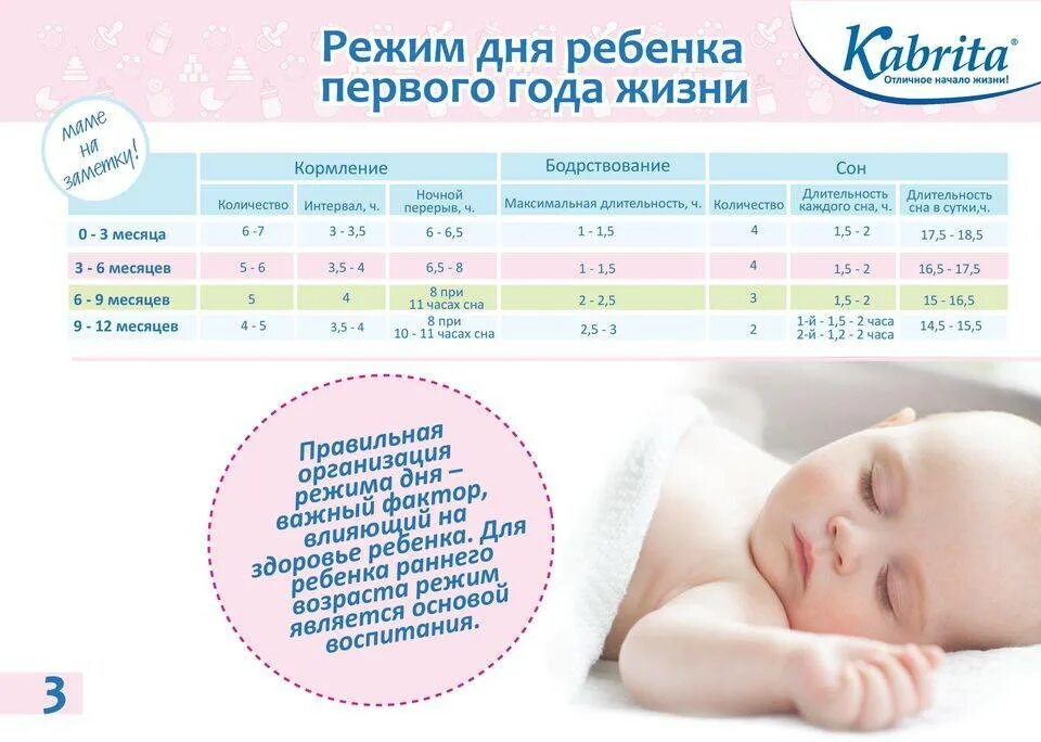 Нормы сна и кормления новорожденного на гв. Режим дня ребёнка в 9 месяцев на грудном вскармливании 3 сна ребенка. Режим дня младенца 1 месяц на грудном вскармливании. Режим малыша в 3 месяца на грудном вскармливании.