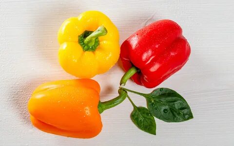 Bell pepper