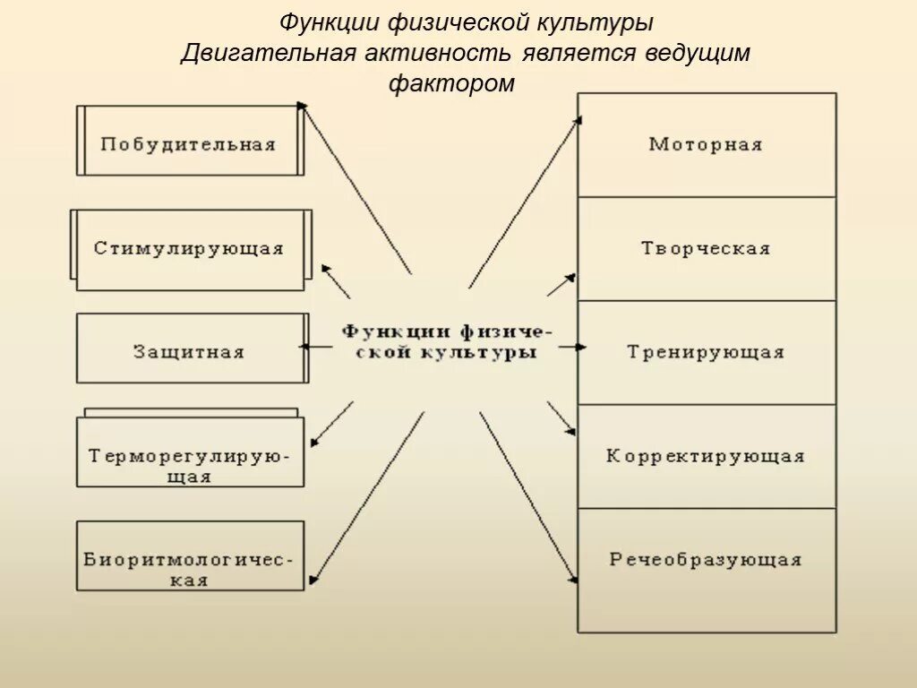 Функции двигательной активности. Основные функции двигательной активности. Функции физической культуры. Основные функции физической культуры. Характеристика современной жизни