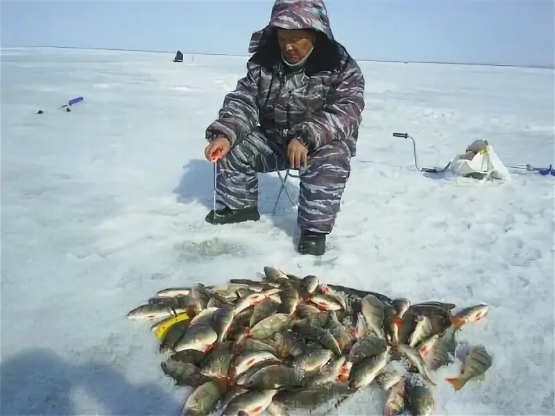 Вести с водоемов. Рыбалка в Новосибирской вести с водоемов 2023. Вестс водоемое зима. Зимний рыболовов 100 уровня. Рыбалка в новосибирске 2024