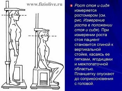 М с2 измеряют