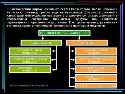 К видам силовых упражнений относятся
