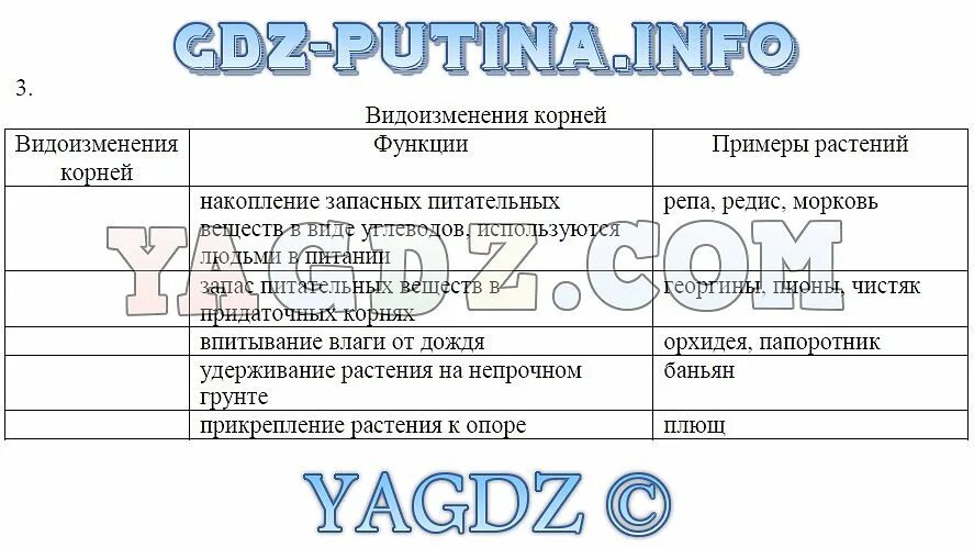 Видоизменения корня таблица 5 класс биология. Видоизмененные побеги 6 класс биология таблица. Биология 6 класс таблица корни