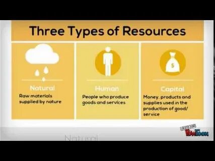 Resource type