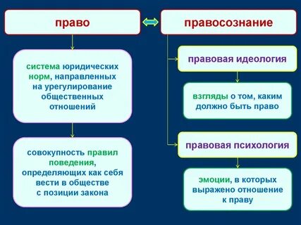Правовые явления общественной жизни