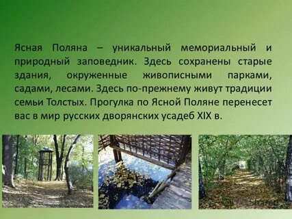 Поляне презентация