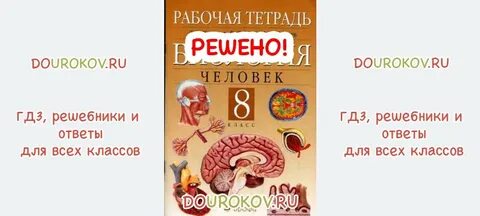 Биология 8 класс рт