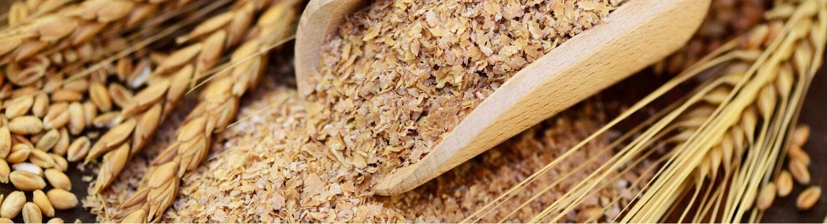 Отруби пшеничные рассыпные. Злаковые культуры. Отруби клетчатка. Отруби. Отруби пшеничные.
