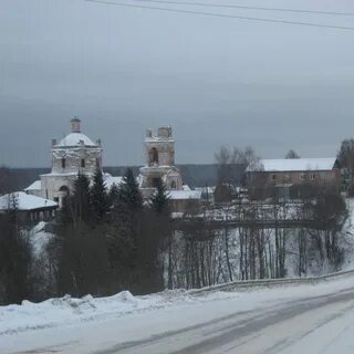 Зеленец коми