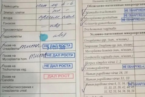 Какие анализы сдаются натощак