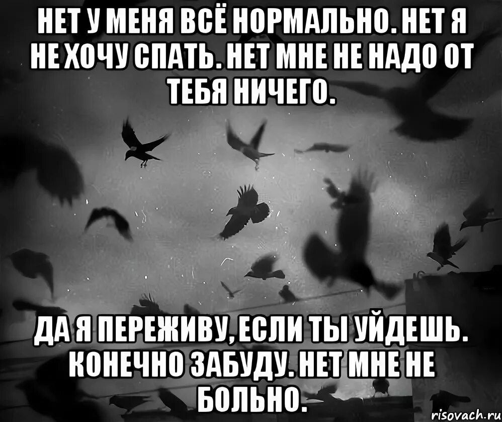 У меня никого нет. Я не люблю людей. Ничего не хочется цитаты. Нас больше нет цитаты. Если тебя не любят.