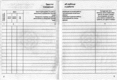 Пустая трудовая
