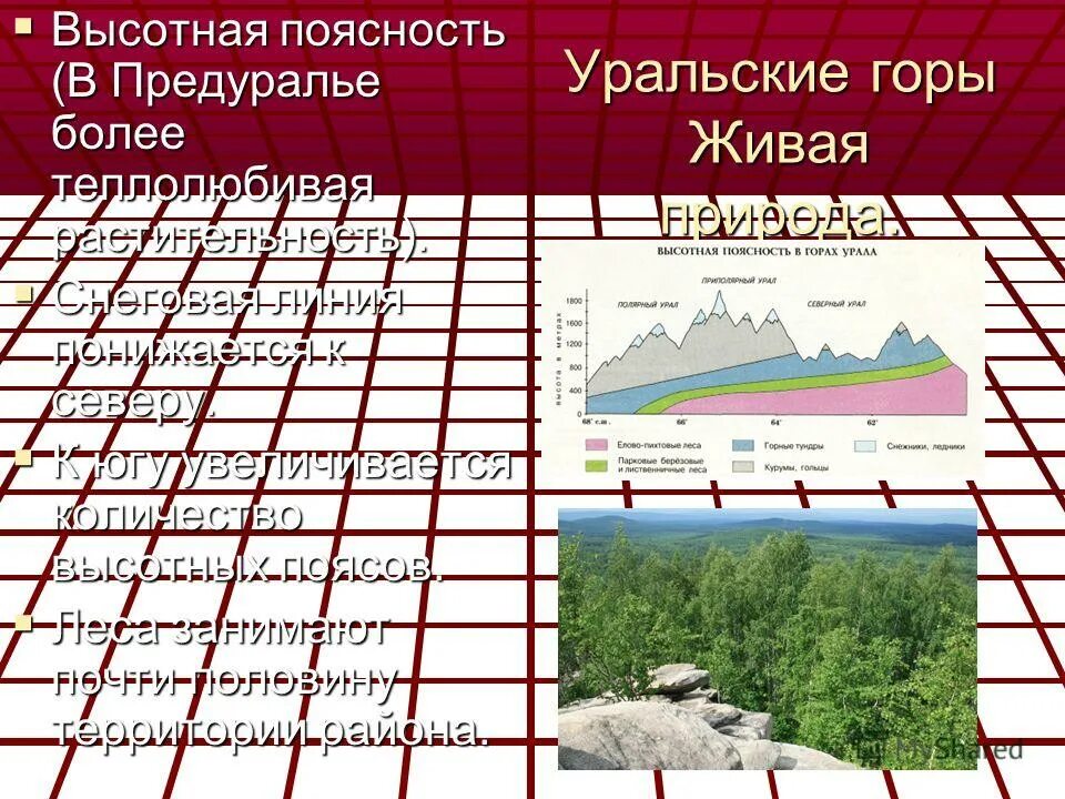 Уральские горы высотная поясность