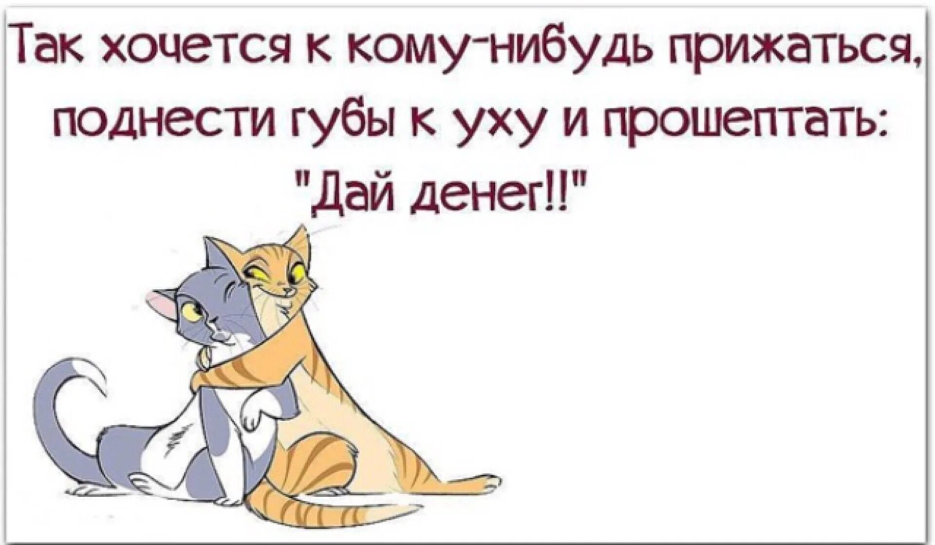 Скажите кто делал что нибудь. Дай денег. Так хочется прижаться к кому-нибудь и прошептать дай денег. Настроение хочется денежек. Дайте денег юмор.