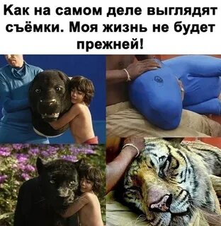 Кругом обман