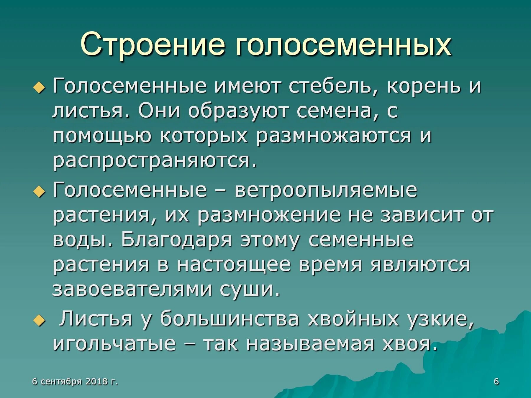 Общее строение голосеменных. Строение голосеменных. строение голосеменных растений. голосеменные презентация. особенности строения голосеменных.
