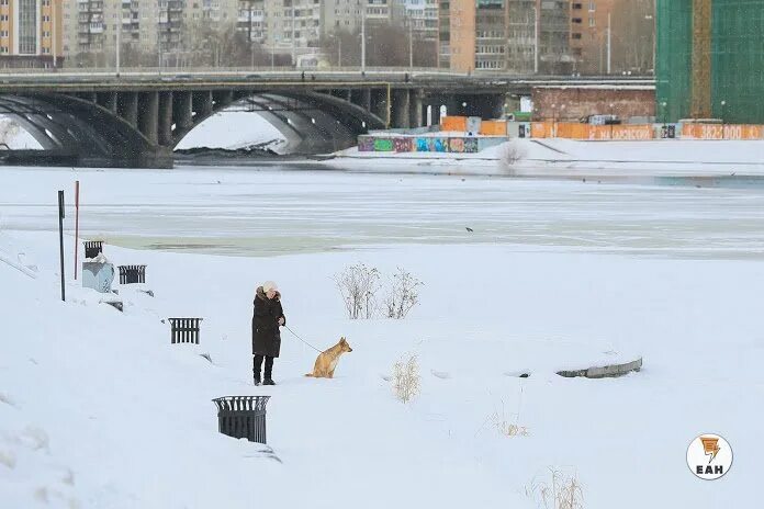 Потепление в Екатеринбурге. Екатеринбург погода зимой. Снегопад в Екатеринбурге 2005 г. Екатеринбург сегодня фото снегопад. В екатеринбурге потеплеет