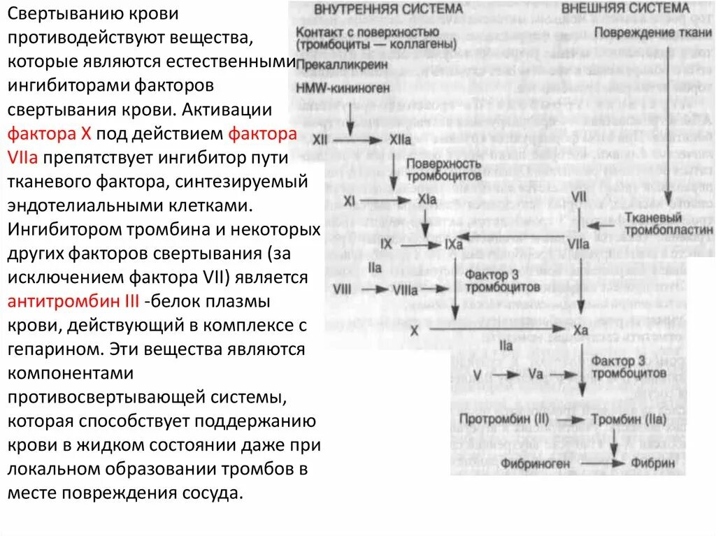 Образование тромба попадание факторов свертывания в плазме