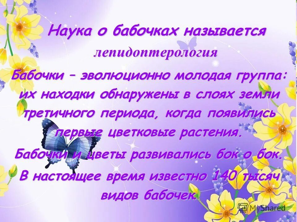 Наука о бабочках называется. Бабочки относятся к отряду. Изучение бабочек и название. Наука о бабочках называется. Наука о бабочках называется.