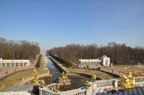 Парковая служба