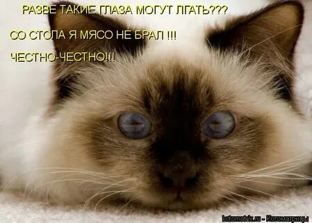 Вы сами не понимаете
