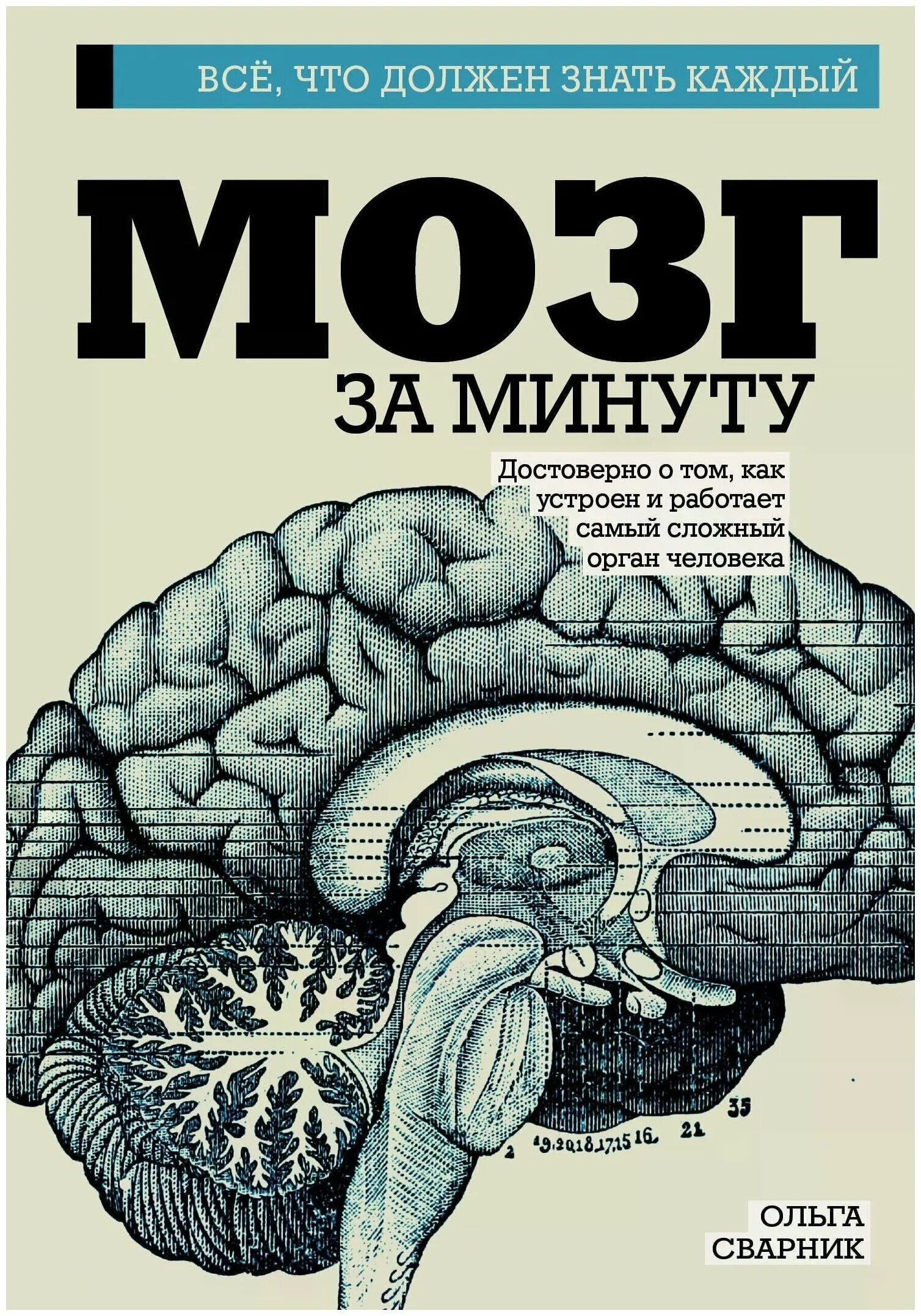 Brain по русски. Книга мозг. Книга про мозг человека. Мозг за минуту книга.