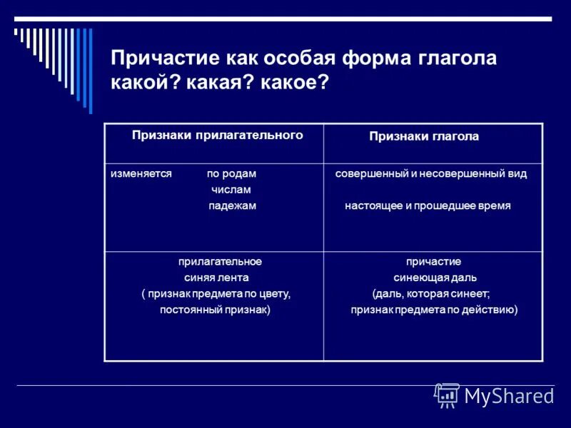 Тест признаки прилагательных