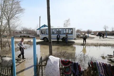 Погода в зеленовке