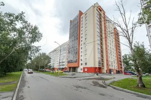 Амундсена бардина