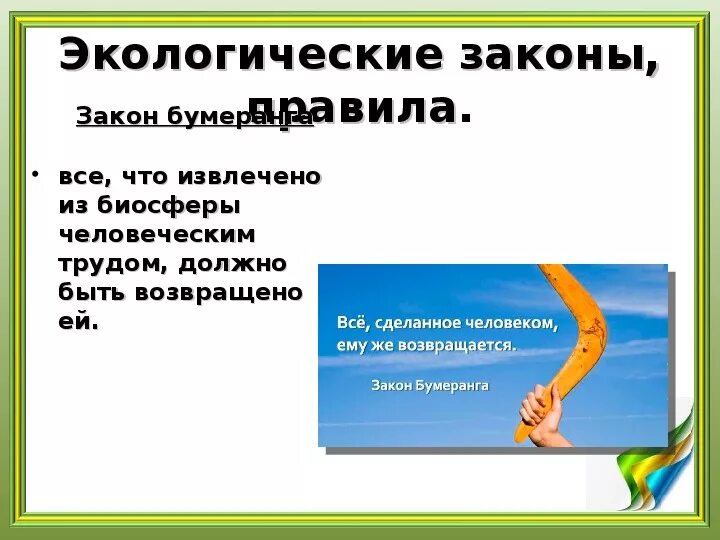 Закон бумеранга в экологии. Эффект бумеранга в экологии. Эффект бумеранга в природе примеры. Экологический Бумеранг примеры.