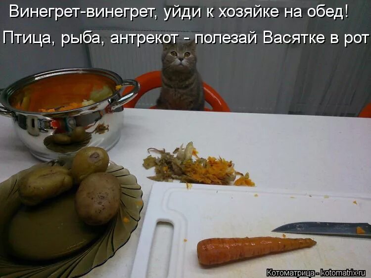 Не хочу есть и точка