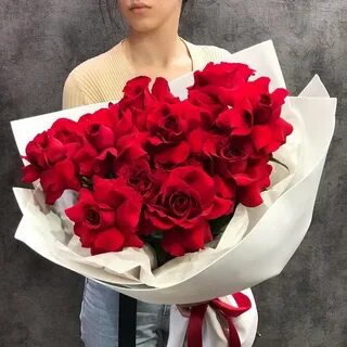 Red sophie