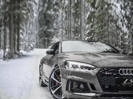 Snow 6