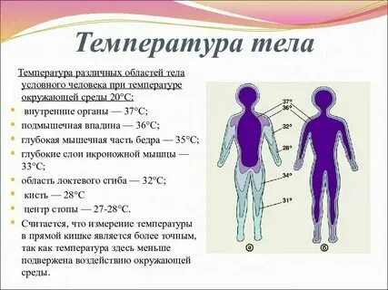Температура тела 35.7 у взрослого причины