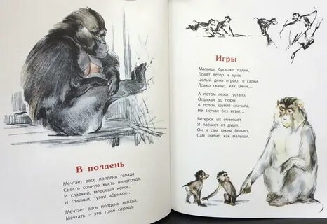 Стих обезьяна
