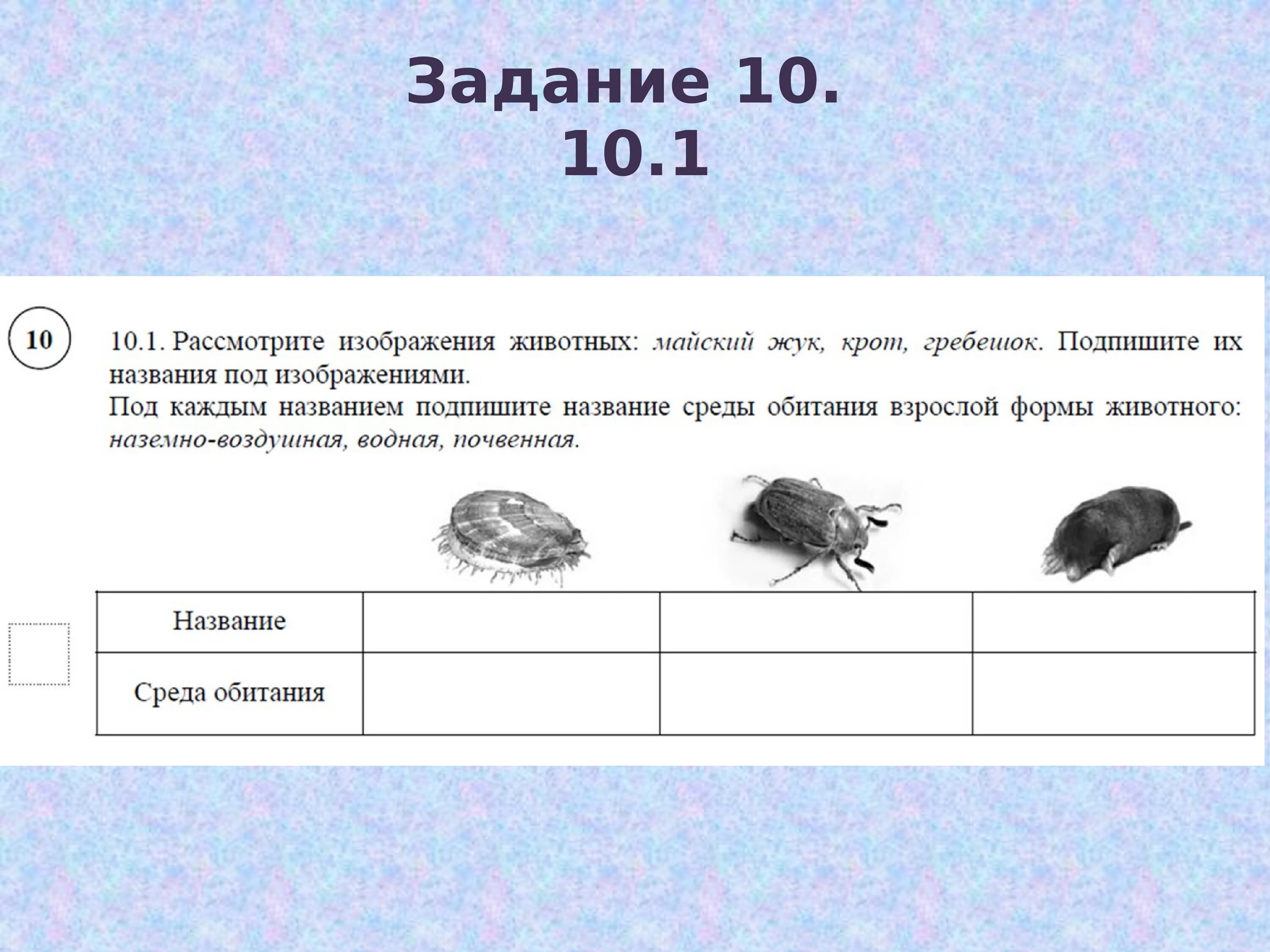 Биология 5 класс 2023 г. ВПР задание 5. Подготовка к ВПР по биологии. ВПР по биологии 5 класс задания. Среда обитания биология 5 класс ВПР.