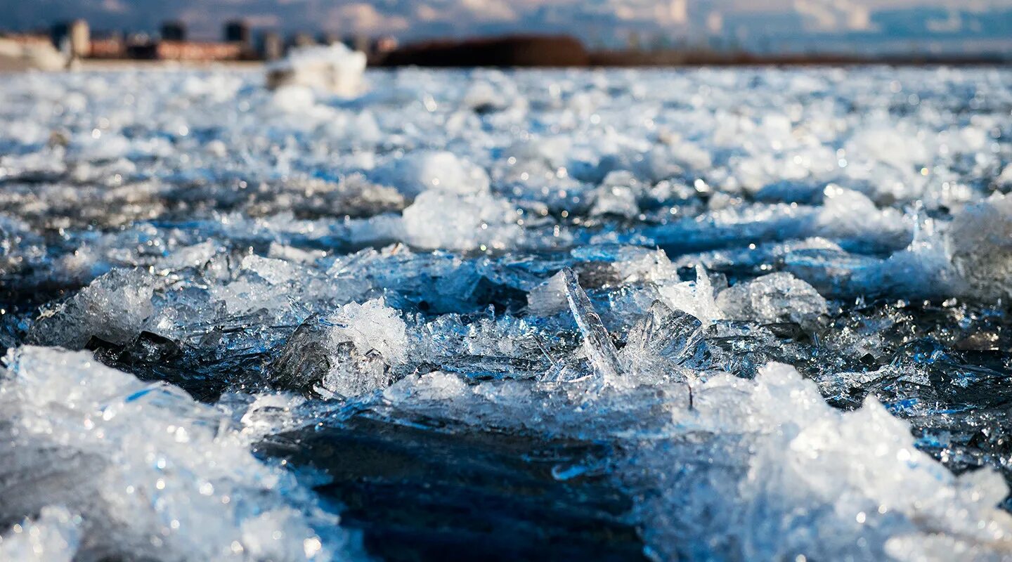 Вода покрыта льдом. Шуга лед. Лед на реке. Льдины на реке. Ледоход на реке.