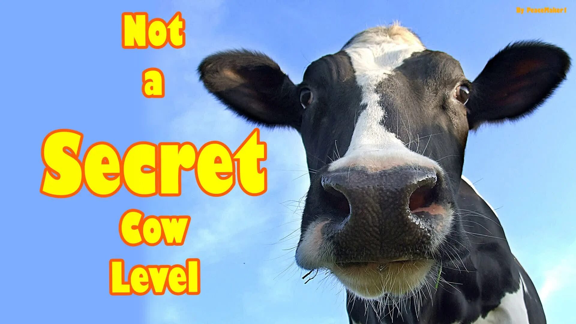 Шутки про коров. Анекдот а поговорить. Коровы переходят дорогу. Прикольная корова. А то будешь как та корова.